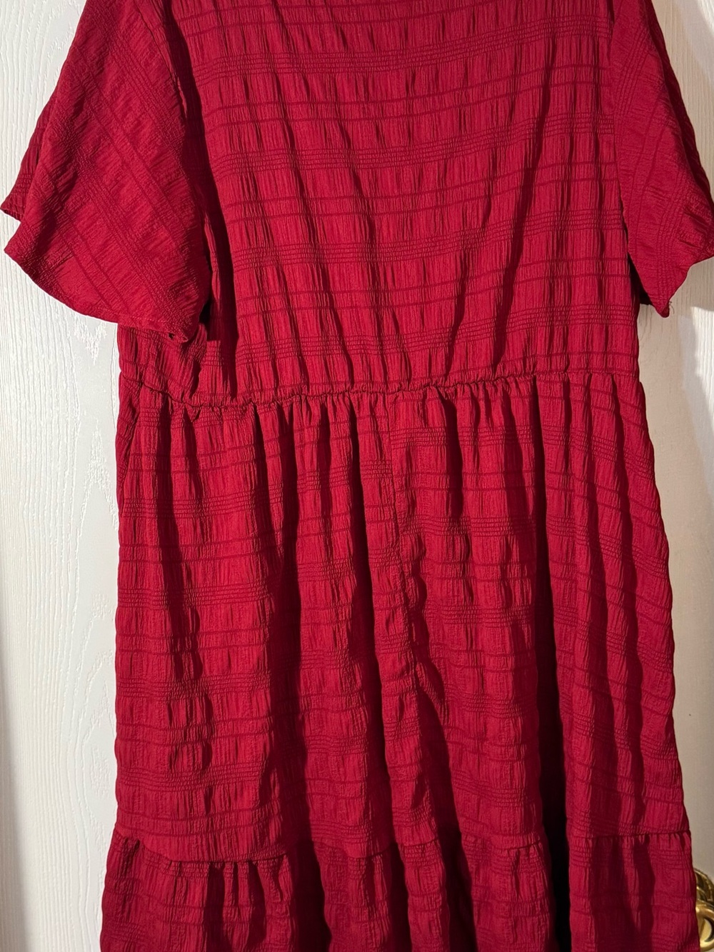 Amazon Red Textured Short-Sleeve Mini Dress